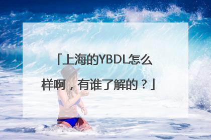 上海的YBDL怎么样啊，有谁了解的？