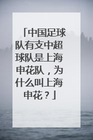 中国足球队有支中超球队是上海申花队，为什么叫上海申花？