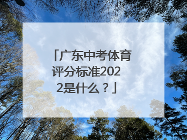 广东中考体育评分标准2022是什么？