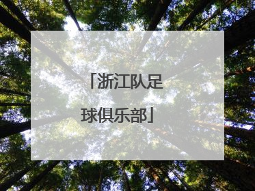 「浙江队足球俱乐部」浙江鸵鸟足球俱乐部