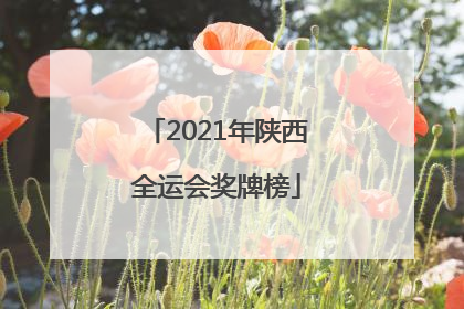 「2021年陕西全运会奖牌榜」2021年陕西全运会奖牌榜江西