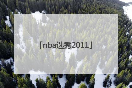「nba选秀2011」nba选秀2000